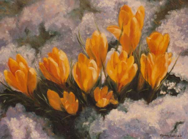 Limited Reproduction of Crocuses