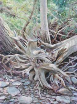 Image of Roots & Rocks By: Elizabeth Sander